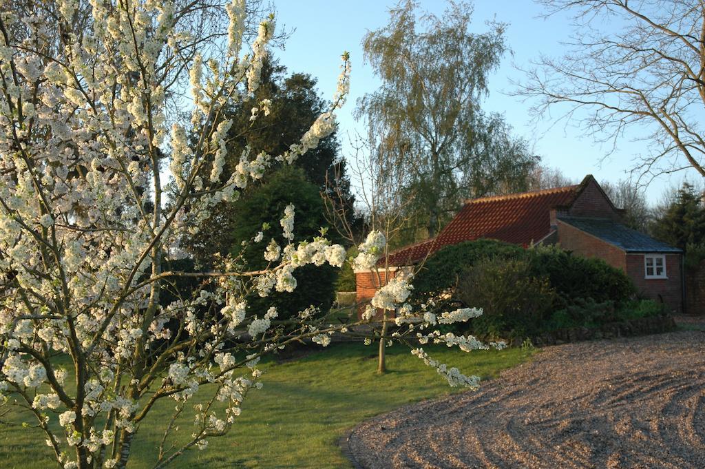Field Cottage Bed And Continental Breakfast East Harling Ruang foto